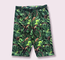 Load image into Gallery viewer, Boys dinosaur cycling shorts
