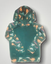 Load image into Gallery viewer, Hoodies 5-6 years