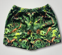 Load image into Gallery viewer, Boys dinosaur shorts