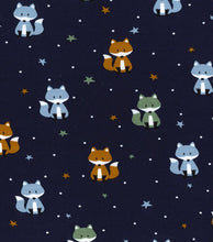Load image into Gallery viewer, Boys fox T Shirts
