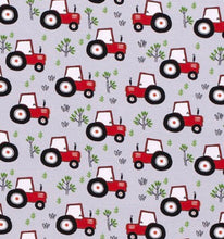 Load image into Gallery viewer, Boys farm bummies