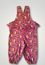 Load image into Gallery viewer, Girls hedgehog Tilly romper