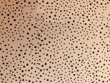 Load image into Gallery viewer, Safari prints for our wooden decor (75 to choose from)