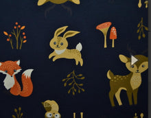 Load image into Gallery viewer, Lenny Jersey Romper Newborn