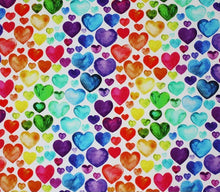 Load image into Gallery viewer, Hoodies 6-9 months