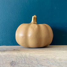 Load image into Gallery viewer, Personalised beige Pumpkin Decor

