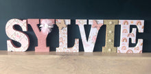 Load image into Gallery viewer, 20cm girls wooden freestanding letters
